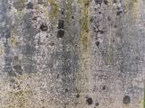 image of grave number 816495